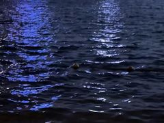 -天鹅湖体育公园