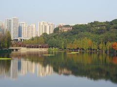 -重庆彩云湖湿地公园