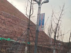 -仙海旅游度假区