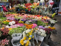 -双季花艺园艺市场(浦东店)