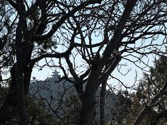 -云龙山
