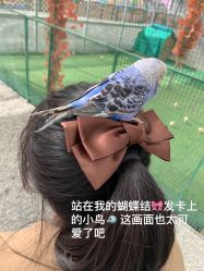 -萌宠亲子动物乐园(槐房万达店)