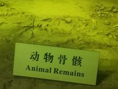-汉景帝阳陵博物院