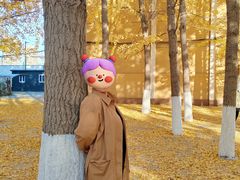 -辽宁大学(崇山校区)