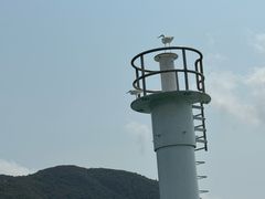 -大澳渔村及棚屋
