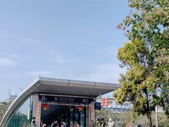 -深圳湾公园(南山区)