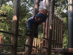 -永定河休闲森林公园