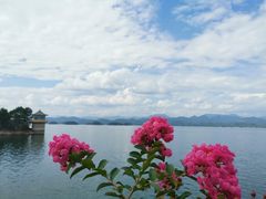 -宝荣鱼馆·临湖之宴(千岛湖店)