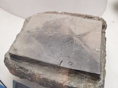 -金钉子远古世界景区