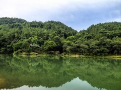 -广州白江湖森林公园