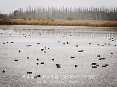 -野鸭湖国家湿地公园