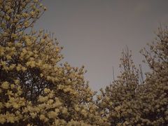 -睦南公园