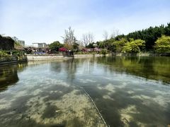 -嘉定紫藤园