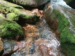 -五女峰国家森林公园