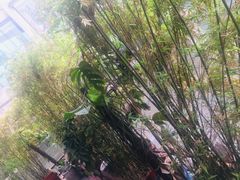 -白乐天毛肚火锅馆(南滨路店)