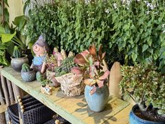 -萤火虫咖啡(后海店)