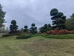 -海花岛旅游度假区