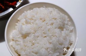 Rice or Hand-pulled Noodles