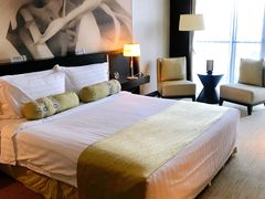 -国家会议中心大酒店