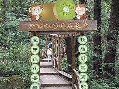 -大岭沟猕猴桃谷风景区