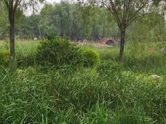 -舍利塔滩地公园-无垢净光舍利塔