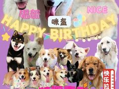 -趣多多宠物公园·宠物训犬学校·宠物寄养