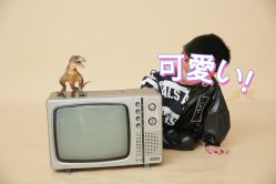-憨大叔韩式儿童摄影 90店连锁(优加店)