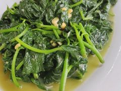 炒番薯叶-乌文新澄海卤鹅店