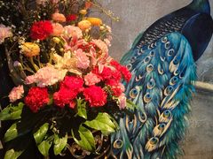 -弦月窗LUNETTE BY AMANDA(复兴路店)