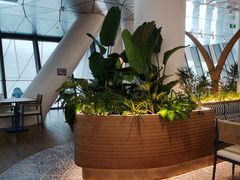 -贝林大翅鲸简餐厅(国家海洋博物馆店)