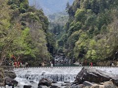 -石台牯牛降景区