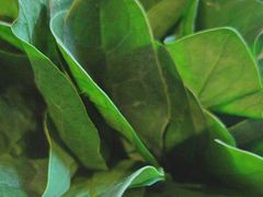 -南门四季铜锅涮肉(大屯·北苑店)