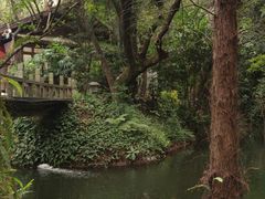 -广州兰圃