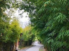 景点-崇阳三特浪口温泉