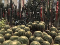 -石家庄市植物园