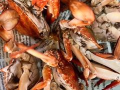 -坛南湾阿强农家乐.海鲜大排档老字号(福州地标美食店)