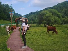 -大水川景区