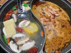 清汤营养锅底-呷哺呷哺 黄金牧场 (回龙观港龙店)