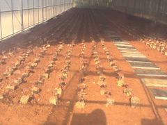 -陶祖圣境风景区