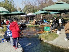 -成飞公园
