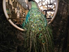 大堂-雀蓝川菜(奥体广场店)