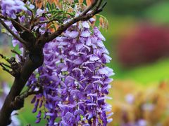 -上海吴淞炮台湾国家湿地公园