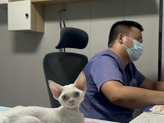 -半岛宠物医院24小时(科华中路店)