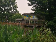 -桤木河湿地公园