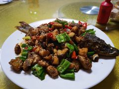 -煲来饱去冷水鱼