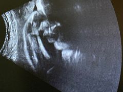 -美华丁香门诊部·全科·妇儿·口眼