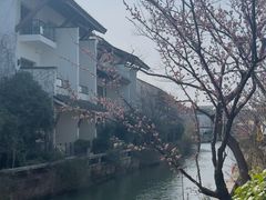 -广富林宰相府酒店·水云间