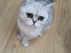 -觅时光手作·香薰·拼豆豆·陶艺DIY