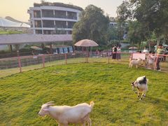 -杭州开元森泊度假乐园