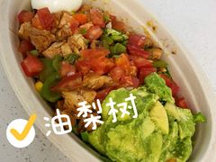 -油梨树AVOCADO TREE(望京店)